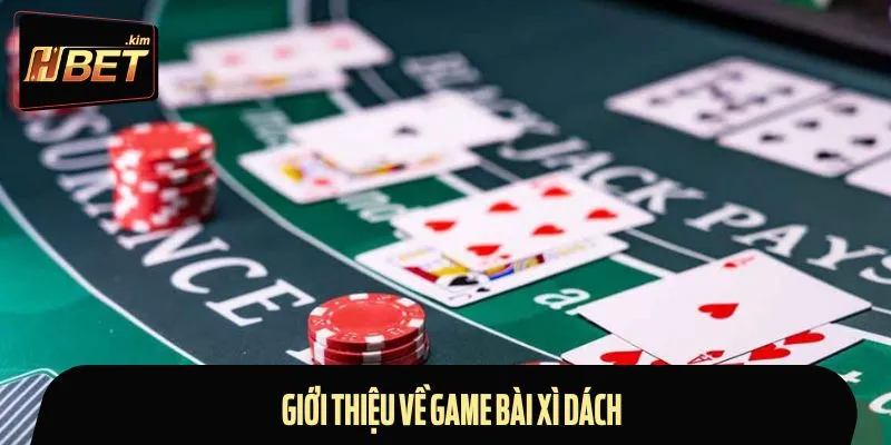 Tổng quan những đặc điểm chung về game bài xì dách