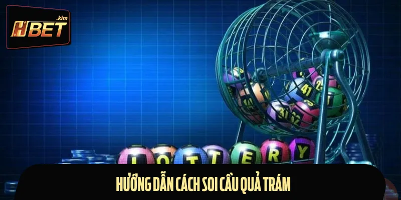 Chi tiết cách soi cầu quả trám đúng chuẩn