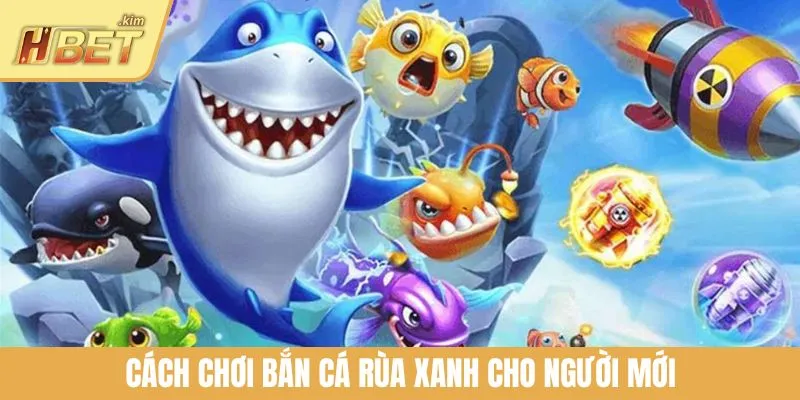 Cách chơi bắn cá Rùa Xanh cho người mới