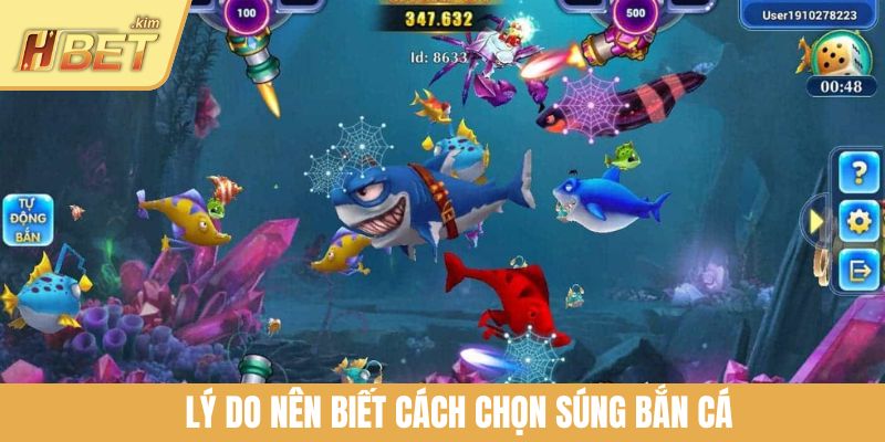 Lý do nên biết cách chọn súng bắn cá