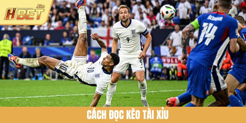 Cách Đọc Kèo Tài Xỉu - Mở Khóa Bí Kíp Đoán Chuẩn Cùng HBET