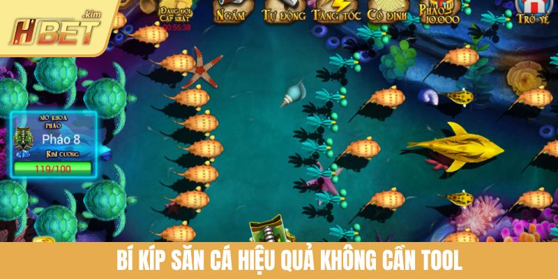 Bí kíp săn cá hiệu quả không cần tool