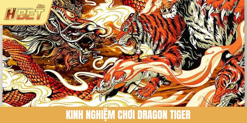 Kinh Nghiệm Chơi Dragon Tiger Dễ Thắng Dành Cho Người Mới