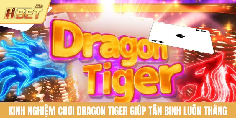 Kinh nghiệm chơi Dragon Tiger giúp tân binh luôn thắng