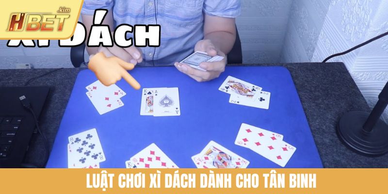 Luật chơi xì dách dành cho tân binh