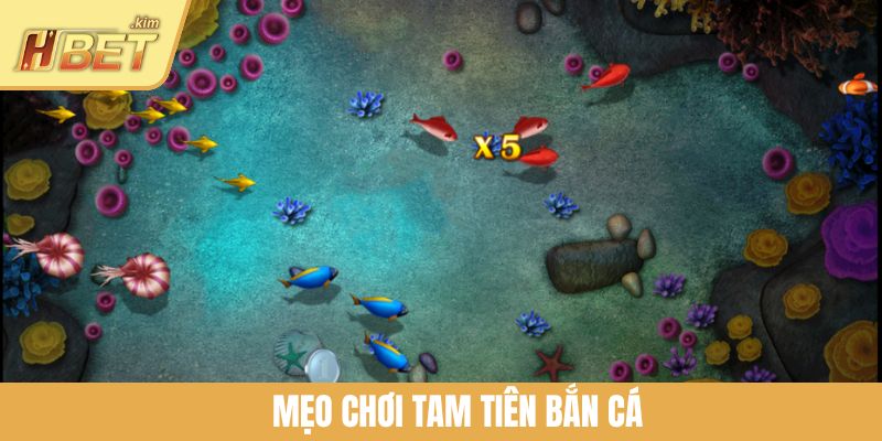 Mẹo Chơi Tam Tiên Bắn Cá Giúp Bạn Bách Phát Bách Trúng