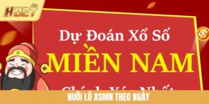 Nuôi Lô XSMN Theo Ngày: Cách Chinh Phục Lô Đề Cực Chuẩn